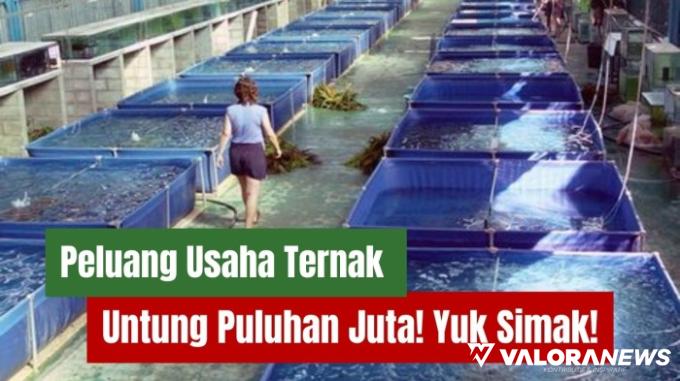 Ilustrasi ide usaha ternak cepat panen dan menguntungkan. (Foto: Canva/Piterest)