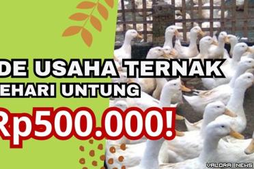 Ilustrasi ide usaha ternak menggiurkan tahun 2023. (Foto: Canva/Pinterest)