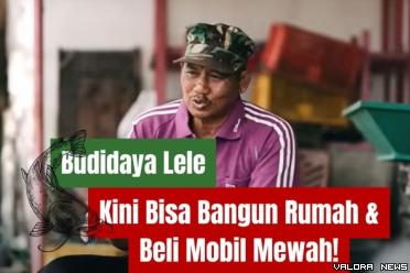 Ilustrasi kisah sukses pengusaha budidaya lele. (Foto: Canva/kanal Youtube Pecah Telur)