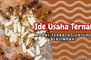 Ilustrasi ide usaha ternak modal sedikit, cocok untuk pemula. (Foto: Canva/Pinterest)
