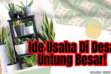 Ilustrasi ide usaha pertanian di daerah pedesaan. (Foto: Canva/Pinterest)