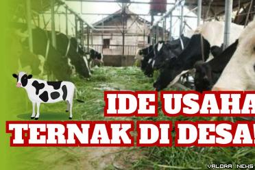 Ilustrasi ide usaha ternak bagi pemula tahun 2023. (Foto: Canva/Pinterest)