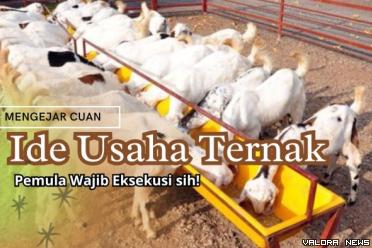 Ilustrasi ide usaha ternak sederhana & menjanjikan. (Foto: Canva/Pinterest)