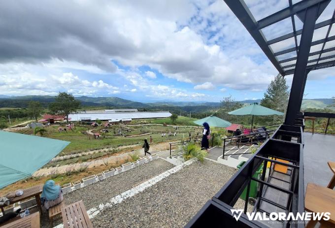 Ilustrasi Sirukam Dairy Farm di Solok (foto: Google Maps/ Sirukam Dairy Farm)