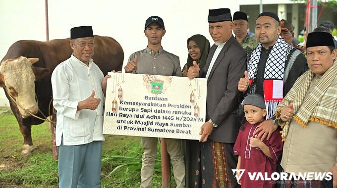 Gubernur Sumbar, Mahyeldi didampingi Aidy Joinaldy (Wagub) serahkan sapi kurban presiden pada pengurus Masjid Raya Sumbar, usai shalat Idul Adha, Senin pagi. (humas)