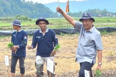 Bupati Pessel Rusma Yul Anwar saat gelaran Sekolah Lapang bagi para petani, di Nagari Koto Berapak, Kecamatan Bayang, Selasa (4/6/2024). FOTO: Dok Diskominfo Pessel
