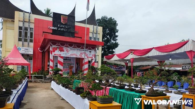 Aneka tanaman bonsai dipamerkan di halaman kantor camat IV Angkek dalam pameran yang akan digelar selama tiga hari. (humas)