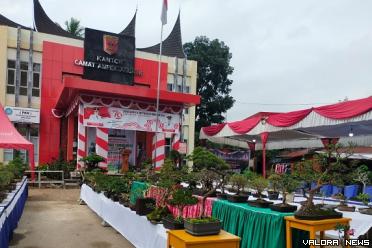 Aneka tanaman bonsai dipamerkan di halaman kantor camat IV Angkek dalam pameran yang akan digelar selama tiga hari. (humas)