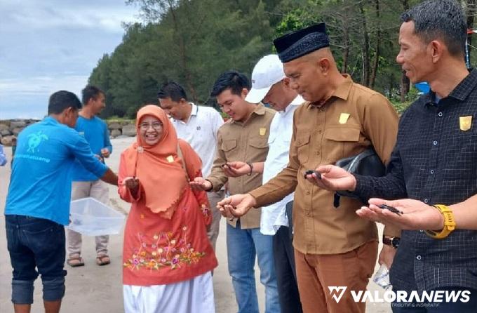 Sekretaris Komisi II DPRD Sumbar, Varel Oriano bersama anggota, berkesempatan melepas tukik ke laut lepas disela kegiatan kunjungan kerja ke UPTD KPSDKP di Kota Pariaman, Sabtu. (humas)