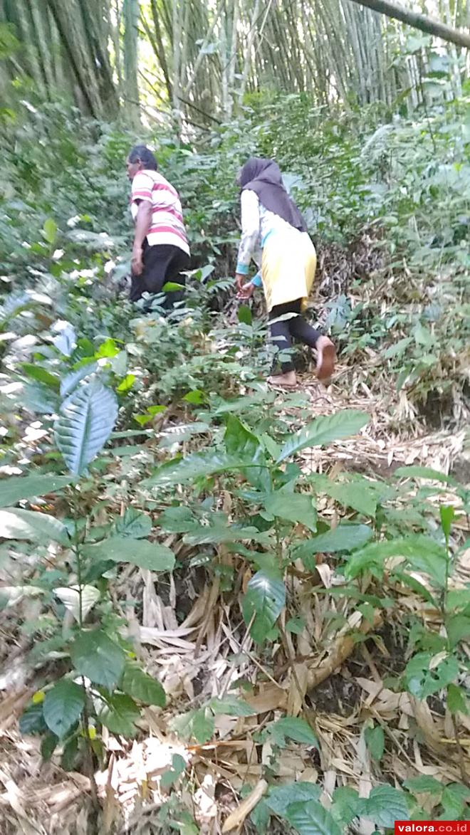 Jalan Terjal