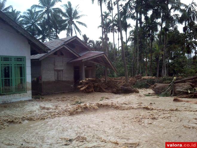 Diterjang Kayu