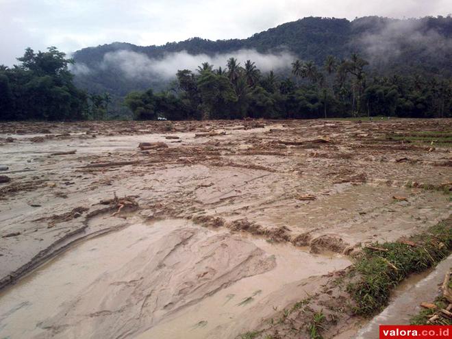 Padi Rusak