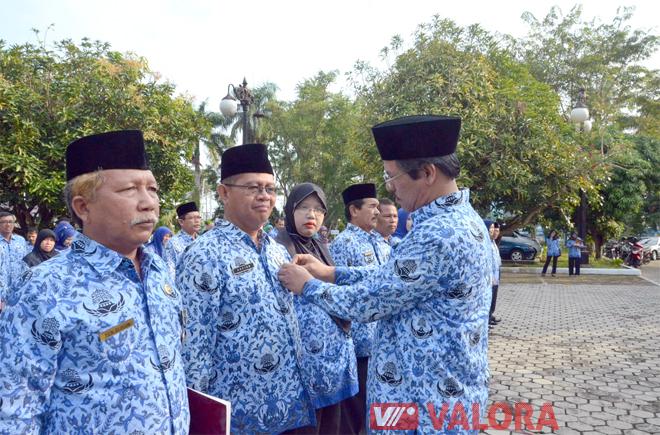 Sematkan Tanda Jasa