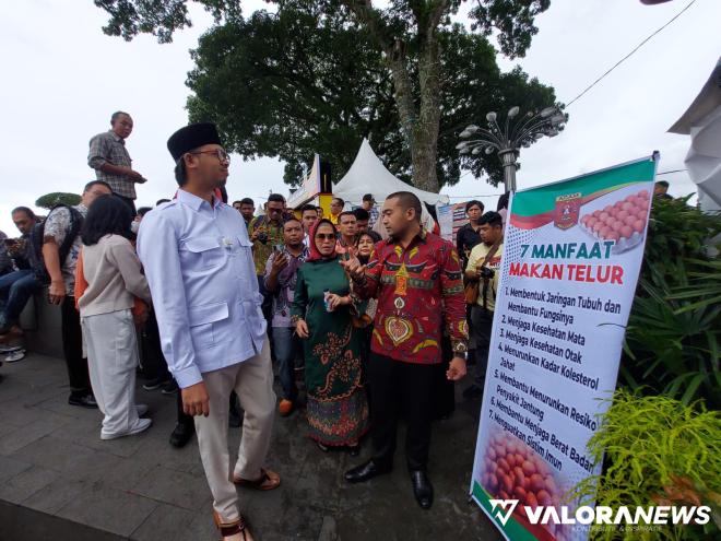 Tinjau stand