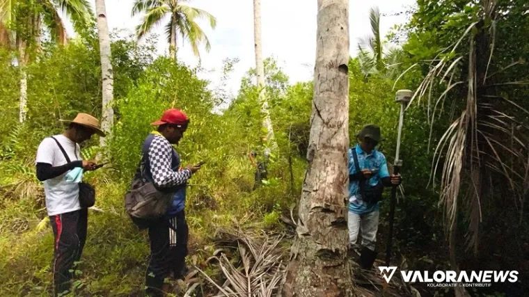 Petugas ukur Kantor Pertanahan Kabupaten Kepulauan Mentawai, tengah menentukan batas tanah warga yang mengikuti program Pendaftaran Tanah Sistematis Lengkap (PTSL) Tahun 2024. (humas)