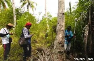 Petugas ukur Kantor Pertanahan Kabupaten Kepulauan Mentawai, tengah menentukan batas tanah warga yang mengikuti program Pendaftaran Tanah Sistematis Lengkap (PTSL) Tahun 2024. (humas)