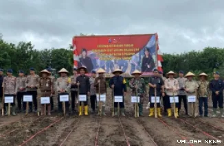 Dansat Brimob Polda Sumbar, Kombes Pol Joni Afrizal bersama Risnawanto (Wabup Pasbar) dan Forkopimda, melakukan penanaman perdana jagung hibrida di lahan calon Markas Kompi 3 Brimoda Sumbar di Pasbar, Selasa. (robi irwan)
