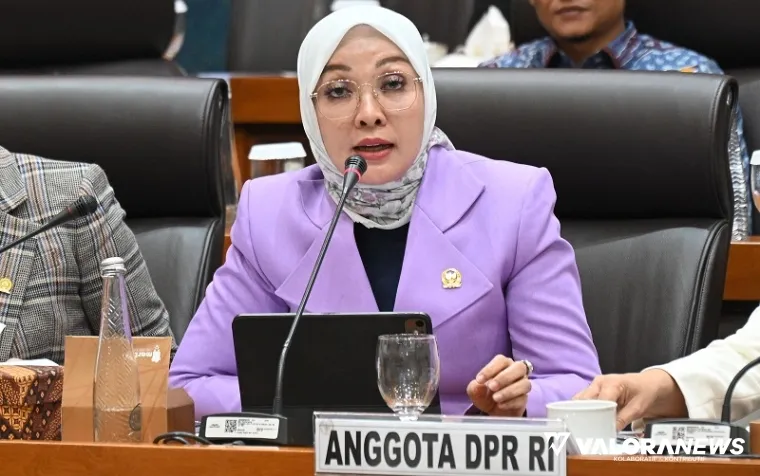 Anggota Komisi VII DPR RI, Erna Sari Dewi.