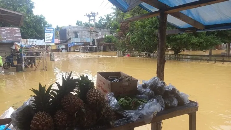Ilustrasi banjir di Riau.