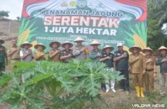 Kapolres Agam, AKBP Muhammad Agus Hidayat bersama Arief Restu (Kadis Pertanian Agam) dan jajaran Forkopimda, melakukan penanaman jagung di Pulai Jorong V Sungai Jaring, Nagari Persiapan Sungai Jaring Lubuk Basung. (humas)