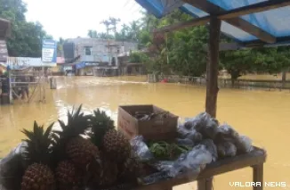 Ilustrasi banjir di Riau.
