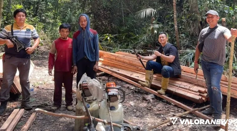 Barang bukti dan pelaku illegal logging di Hutan Suaka Marga Satwa Rimbang Baling yang berhasil diamankan Polsek Singingi Hilir, Kamis. (humas)