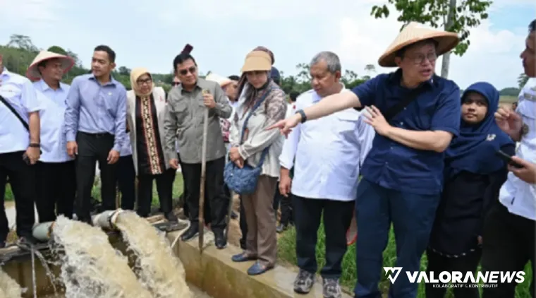 Wakil Ketua Komisi IV DPR RI, Alex Indra Lukman meninjau pelaksanaan Program Pompanisasi Sektor Pertanian yang ada di Kampung Haduyang Ratu, Padang Ratu, Kabupaten Lampung Tengah, tanggal 13 November 2024 lalu. (istimewa)