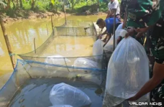 Personel TMMD ke-123 Mentawai bersama warga, melepaskan 5 ribu bibit ikan nila pada kolam ikan milik kelompok budidaya ikan air tawar di Desa Sido Makmur, Kecamatan Sipora Utara, Kamis. (humas)