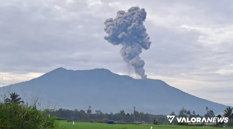 Kepulan abu vulkanik dari letusan Gunung Marapi, dijepret beberapa menit setelah membumbung tinggi pada Kamis pagi sekitar pukul 07.12 WIB. Letusannya sempat mengagetkan warga. (mangindo kayo)