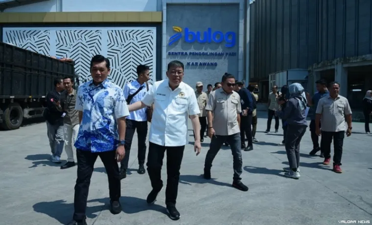 Wakil Ketua Komisi IV DPR RI, Alex Indra Lukman meninjau sentra penggilingan padi Bulog di Kerawang, Jawa Barat, Rabu siang. (humas)