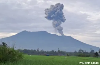 Kepulan abu vulkanik dari letusan Gunung Marapi, dijepret beberapa menit setelah membumbung tinggi pada Kamis pagi sekitar pukul 07.12 WIB. Letusannya sempat mengagetkan warga. (mangindo kayo)