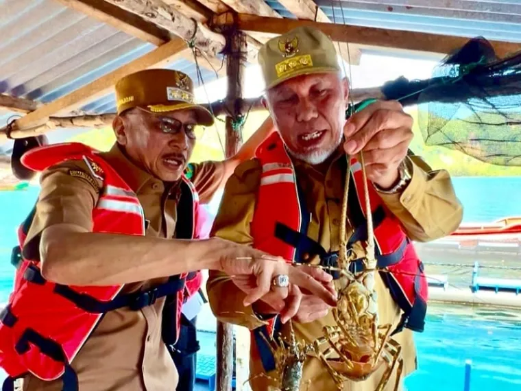 (Ki-ka) Bupati Hendrajoni dan Gubernur Mahyeldi Ansharullah, meninjau Budidaya Lobster di Keramba Apung Laut, Kampung Sungai Bungin, Batang Kapas, Pessel, Selasa (6/5/2025). FOTO: Dok Balai Jurnalis Pesisir Selatan