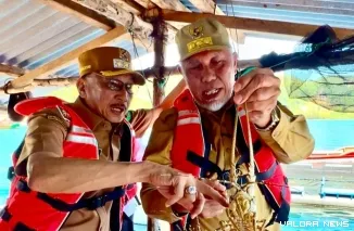 (Ki-ka) Bupati Hendrajoni dan Gubernur Mahyeldi Ansharullah, meninjau Budidaya Lobster di Keramba Apung Laut, Kampung Sungai Bungin, Batang Kapas, Pessel, Selasa (6/5/2025). FOTO: Dok Balai Jurnalis Pesisir Selatan