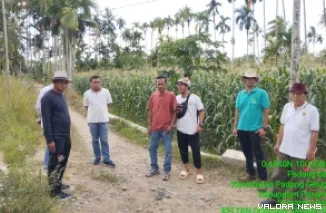 Ketua Komisi II DPRD Sumatera Barat, Khairuddin Simanjuntak meninjau Calon Penerima dan Calon Lokasi (CPCL) JUT Tanjung Betung di Nagari Tanjung Betung, Kecamatan Rao Selatan, Kabupaten Pasaman, Kamis. (humas)