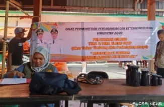 Personel UPTD Metrologi Legal Dinas Perindustrian Perdagangan dan Ketenagakerjaan (Disperindagnaker) Agam, menguji akurasi alat timbng pedagang Pasar Kayu Pasak, Rabu. (humas)