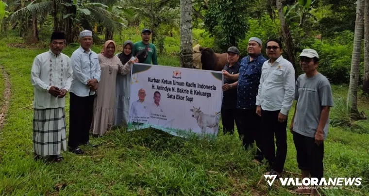 Fungsionaris Kadin Sumbar, Fajar Rusvan (kemeja putih) secara simbolis serahkan sapi kurban dari Ketum Kadin Indonesia, Anindya N Bakrie pada pengurus masjid Taqwa Muhammadiyah Pakandangan, Sabtu. (humas)