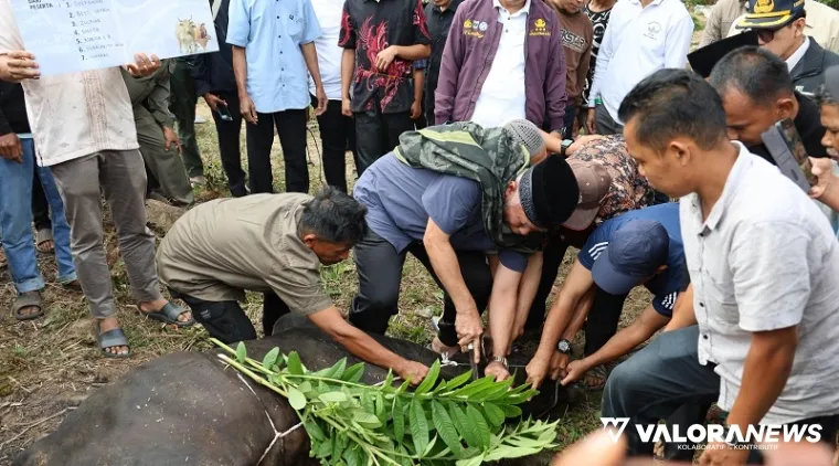Gubernur Sumatera Barat, Mahyeldi memotong sapi kurban dari ASN Pemprov Sumbar di Masjid Nurul Iman, Jorong Sungai Dareh, Nagari Tanjung Balik Sumiso, Sabtu. (humas)