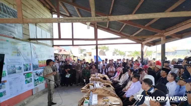 Penemu bertanam padi dengan metode Sawah Pokok Murah, Ir Djoni menerangkan teknik bertanam padi dengan prinsip kembali pada alam itu pada Ketua Komisi IV DPR RI, Siti Hediati Suharto di Kabupaten Agam, Sumbar, Sabtu. (mangindo kayo)