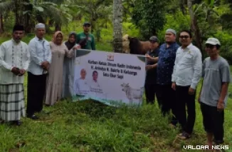 Fungsionaris Kadin Sumbar, Fajar Rusvan (kemeja putih) secara simbolis serahkan sapi kurban dari Ketum Kadin Indonesia, Anindya N Bakrie pada pengurus masjid Taqwa Muhammadiyah Pakandangan, Sabtu. (humas)