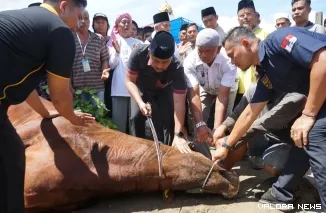 Wagub Sumbar, Vasko Ruseimy memotong sapi kurban dari Presiden Prabowo Subianto di komplek Ponpes Perkampungan Minangkabau di kawasan Bypass Aia Pacah, Padang, Ahad.. (humas)