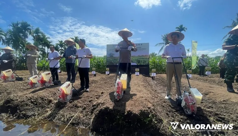 Gubernur Sumbar, Mahyeldi bersama Polda dan investor, melakukan penanaman jagung di Nagari Ulakan Tapakis, Kabupaten Padang Pariaman, Kamis. (humas)