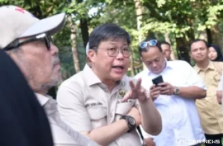Wakil Ketua Komisi IV DPR RI, Alex Indra Lukman. (istimewa)