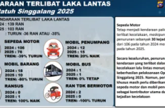 Infografis.