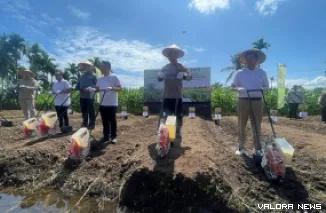 Gubernur Sumbar, Mahyeldi bersama Polda dan investor, melakukan penanaman jagung di Nagari Ulakan Tapakis, Kabupaten Padang Pariaman, Kamis. (humas)