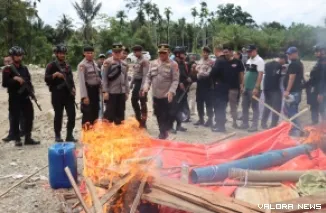 Tim gabungan Polda Sumbar dan Polres Pasbar, membakar satu buah box penyaring emas yang terbuat dari kayu saat penertiban Peti di sungai Batang Batahan, Jorong Aek Nabirong, Nagari Batahan, Kecamatan Koto Balingka. (humas)