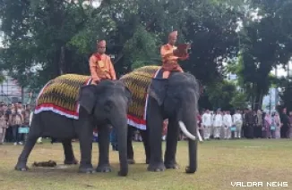 Dua ekor gajah binaan PLG Minas, Vera dan Yopi ikut upacara HUT ke-80 RI di halaman BBKSDA Riau, Ahad. (humas)