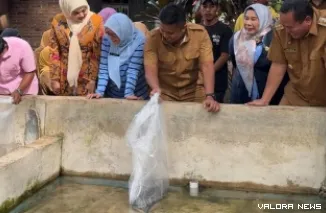 Wagub Sumbar, Vasko Ruseimy serahkan bantuan indukan lele pada UPR FA Mandiri dan UPR Kajai Fish di Desa Cubadak Air Utara, Kecamatan Pariaman Utara, Selasa. (humas)