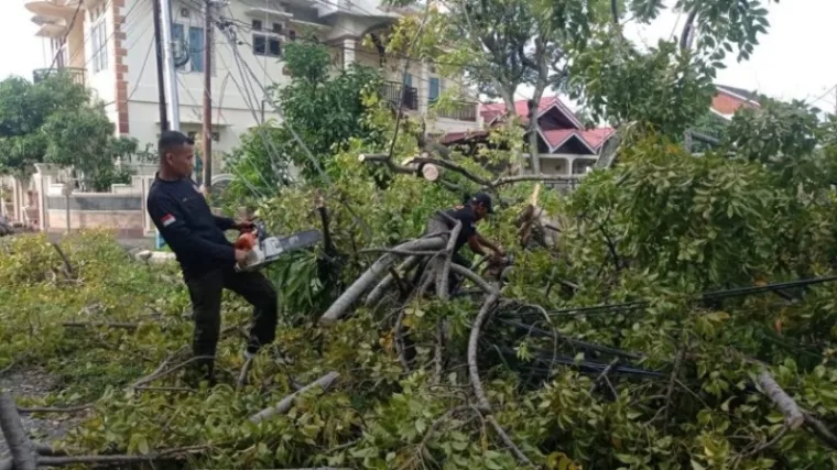 Petugas BPBD saat mengevakuasi pohon tumbang. (Dok. BPBD Padang)