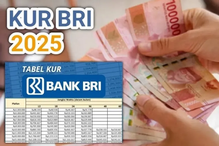 Cari Modal Makin Mudah! KUR BRI 2025 Tawarkan Pinjaman 40 Juta Untuk Usaha Mikro, Cicilan Mulai 800 Ribuan. (Foto: Ist)
