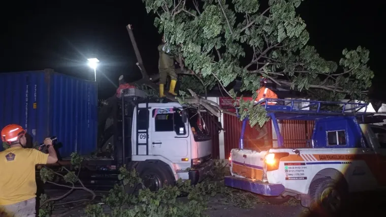 Petugas saat membersihkan pohon tumbang yang menimpa truk. (Dok. BPBD Padang)